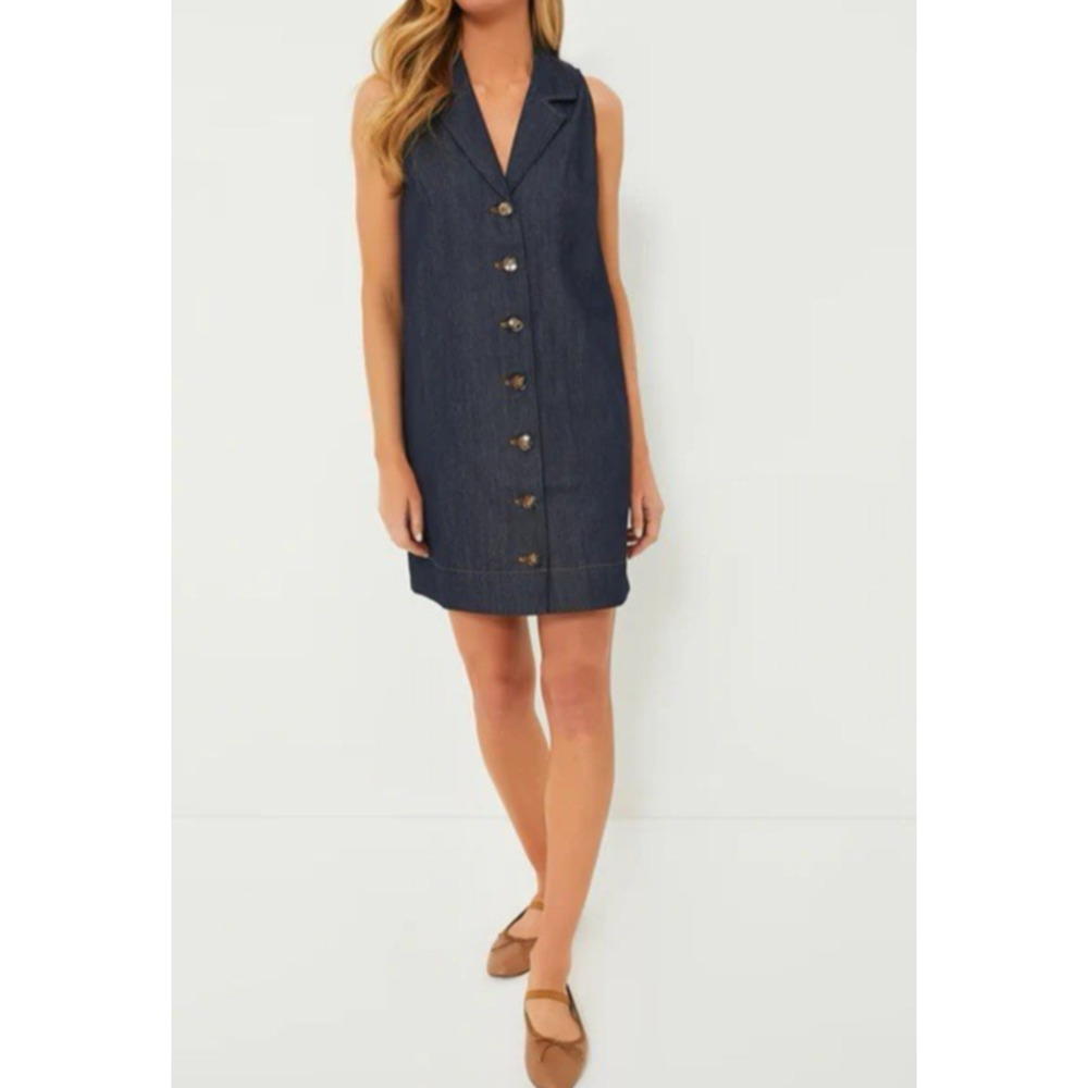 Pomander Place Micah Denim Shirt Dress Sleeveless Coastal Chic XS Tuckernuck